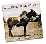 Minor Enough: Wrinkle Neck Mules
