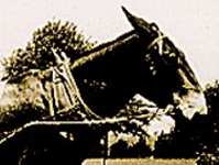 Mule Head